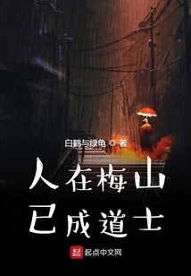 A Man Has Become a Taoist Priest in Meishan