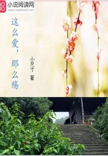 So Much Love, so Much Sorrow