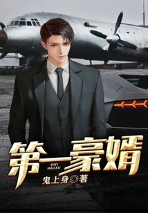 The First Wealthy Son-in-law