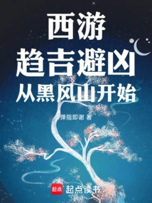 Journey to the West: Seeking Good Fortune and Avoiding Misfortune, Starting from Black Wind Mountain