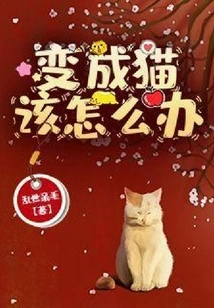 What to Do If You Turn into a Cat