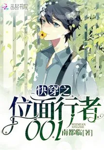 Quick Travel Plane Walker 001