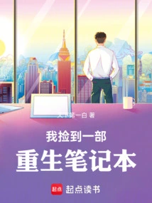 I Picked up a Rebirth Notebook