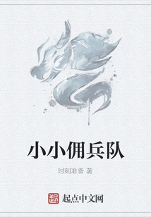 Little Mercenary Team