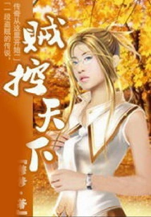 Thieves Control the World