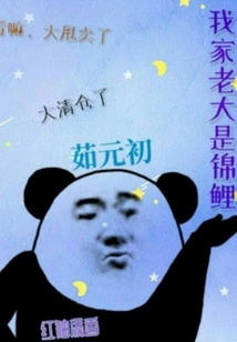 My Eldest Son is a Koi Carp