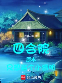 Siheyuan: Originally I Just Wanted to Be a Little Transparent