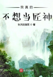 I Really Don't Want to Be a Craftsman