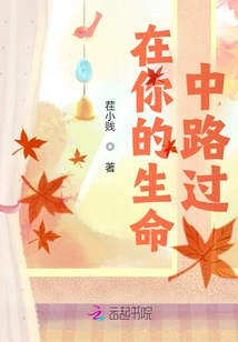 Passing by in Your Life