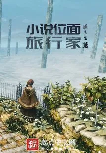 Novel Plane Traveler