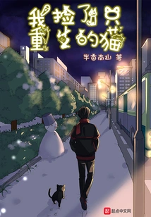 I Picked up a Reborn Cat