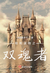 Harry Potter: the Two Souls