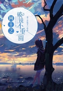 The King of Nets: Broken Mirrors Never Reunite