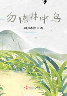 Don't Scare the Birds in the Forest