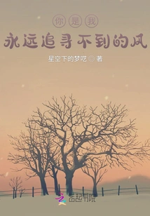 You Are the Wind That I Can Never Pursue