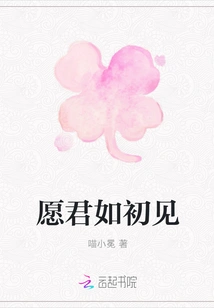 I Hope You Will Be Like the First Time We Met