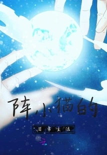 Daily Life of Kittens