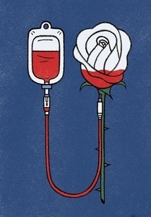 I Like All My Friends, but I Still Like Being Alone Best