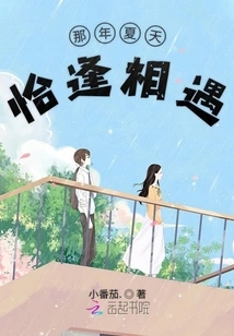 We Happened to Meet Each Other That Summer