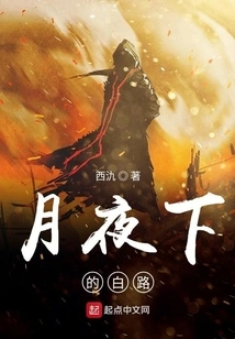 White Road under Moonlit Night