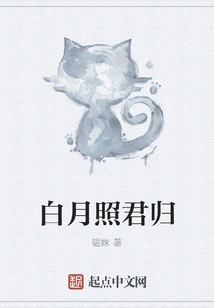 The White Moon Illuminates Your Return