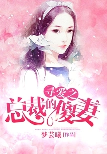 Looking for Love: the Ceo's Foolish Wife