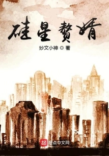 Silicon Star's Son-in-law