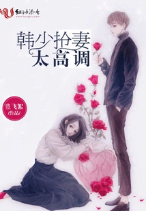 Mr. Han's Robbery of His Wife Was Too High-profile