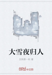 Returning on a Snowy Night