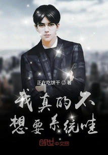 I Really Don't Want the System