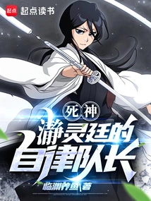 Death: Seireitei's Self-disciplined Captain