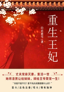 Rebirth of the Princess (volume 6)