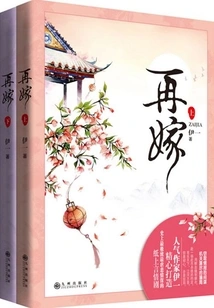 Marry Again (complete Collection)