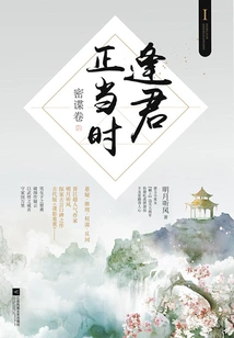 The Right Time to Meet You Ⅰ·secret Spy Volume