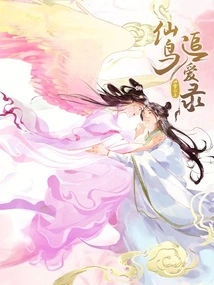 Fairy Bird Chasing Love