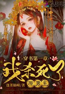 Chapter 1 of the Book: I Killed the Original Male Protagonist