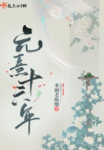 Yuanxi Sixteenth Year