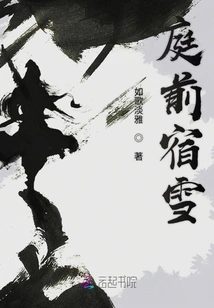 Snow in Front of the Court