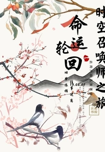 Time Summoner's Journey Destiny Reincarnation