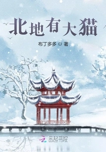 There Are Big Cats in the North