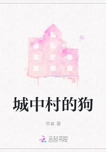 Dog in Urban Village