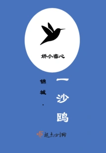 A Sand Gull in Jincheng