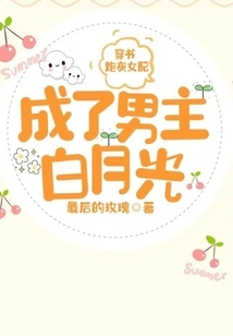 Through the Book: the Cannon Fodder Female Partner Becomes the Male Protagonist Bai Yueguang