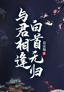 When I Meet You Again, I Will Never Return