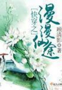 Quick Travel: the Long Journey to Fairyland