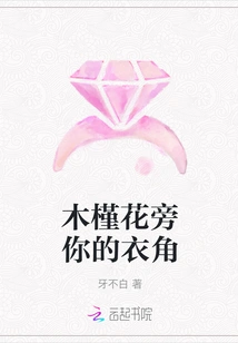 The Corner of Your Clothes Next to the Hibiscus Flower