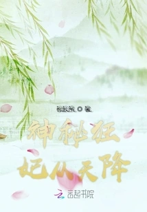 A Mysterious Mad Concubine Descended from the Sky