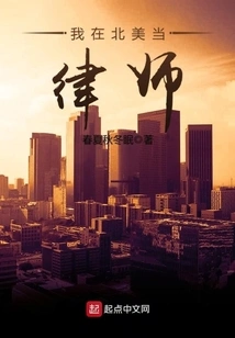 I Am a Lawyer in North America