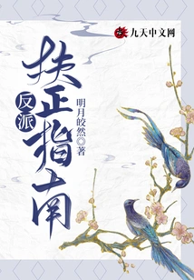 Villain Rectification Guide