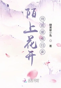 Flowers Are Blooming on the Street, Waiting for You to Come Back Slowly